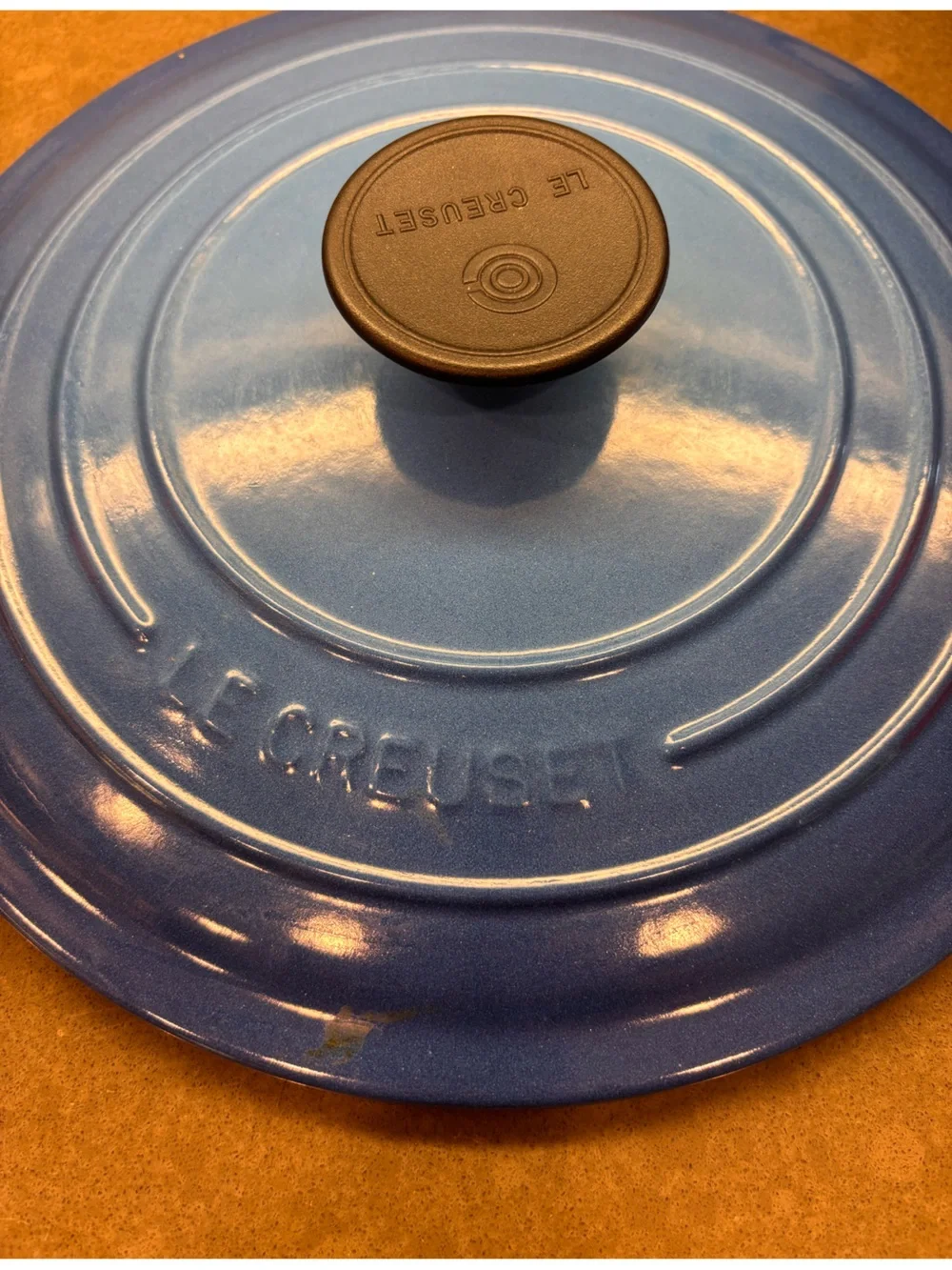 Le Creuset Blue Round Enameled Cast Iron Dutch Oven with Lid